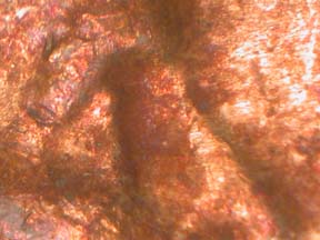 Image 30
