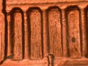 Image 29