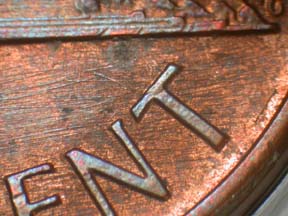 Image 20
