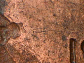 Image 14