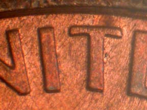 Image 66