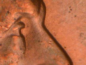 Image 24