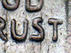 Image 16