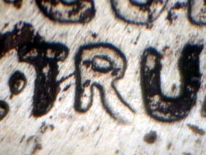Image 14