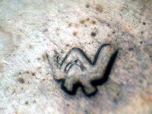 Image 15