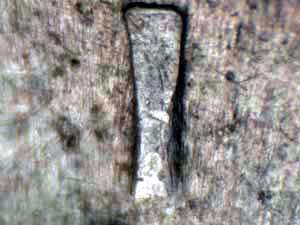 Combined